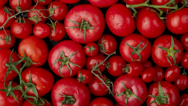 top view of ripe fresh tomatoes with water drops on black background